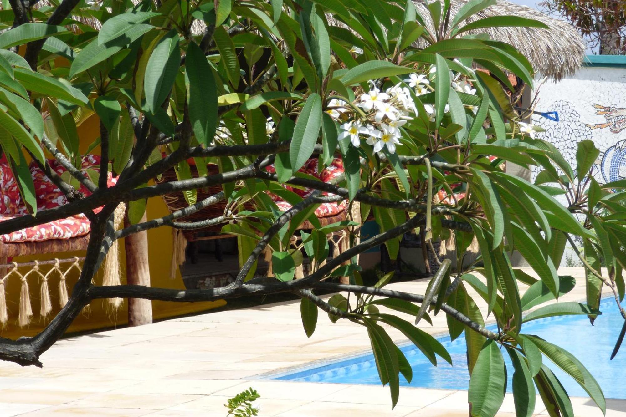 A Toca Do Bem-Te-Vi Hotel Aguas Belas Luaran gambar